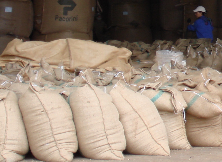 Xuất khẩu cà phê Việt Nam tháng 10/2015 tiếp tục giảm cả lượng lẫn giá